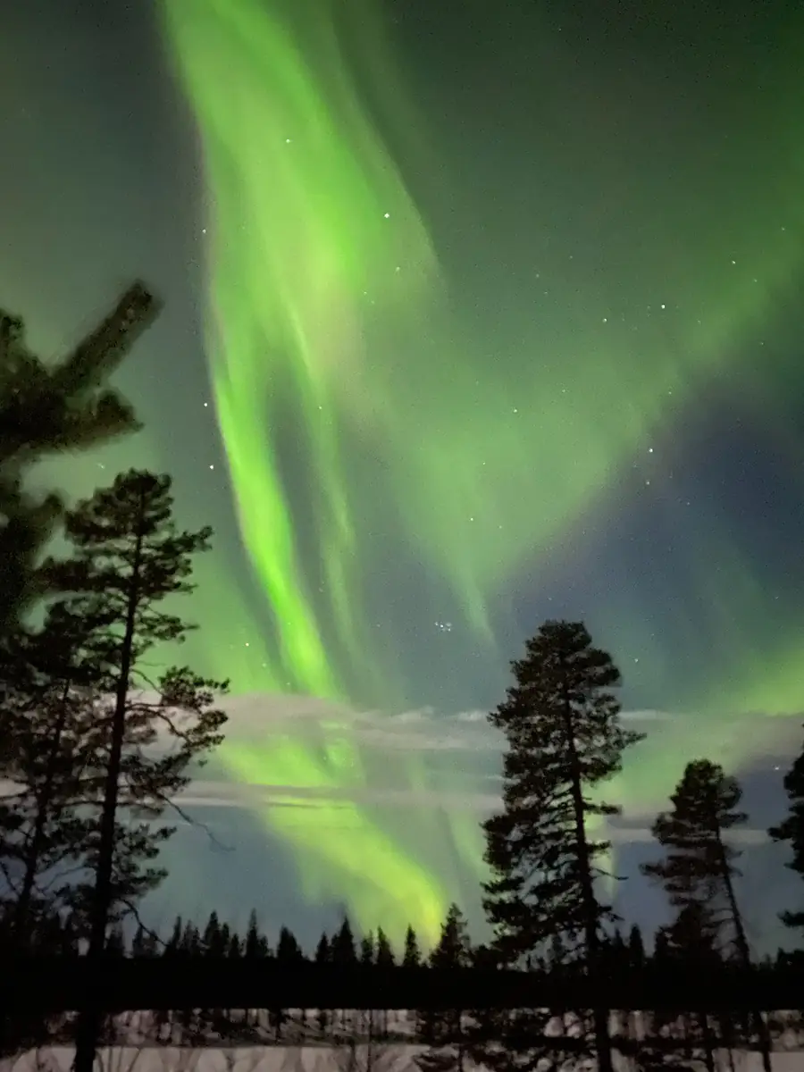 Aurora dancing across the polar sky